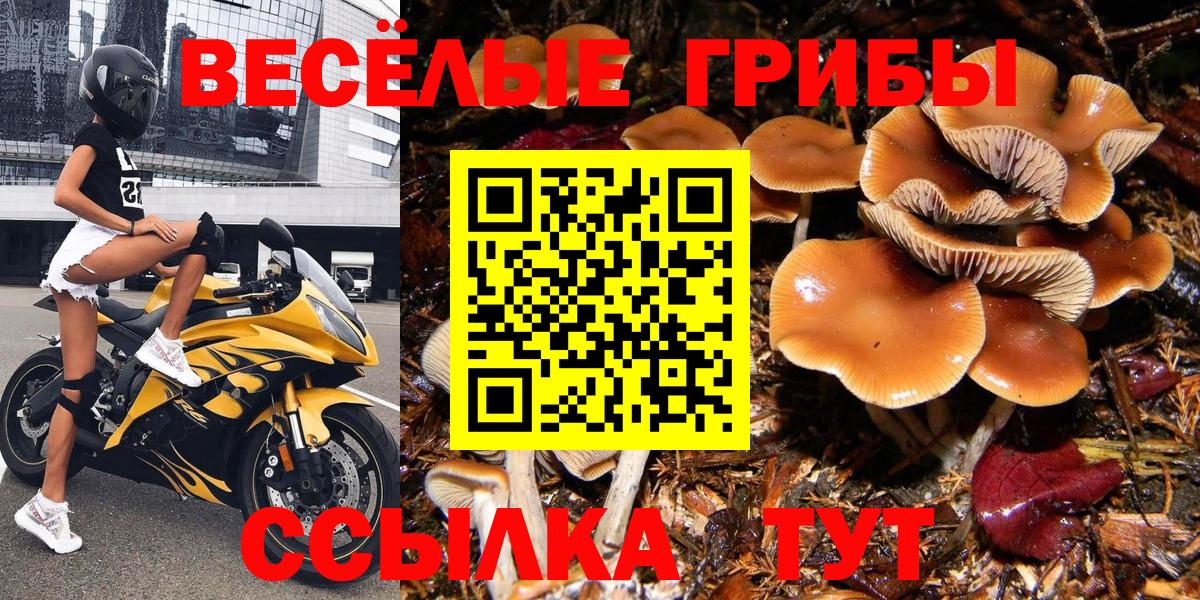 Псилоцибиновые грибы MAGIC MUSHROOMS  дарнет шоп  Вход с VPN  Великие Луки  Галлюциногенные грибы MAGIC MUSHROOMS 