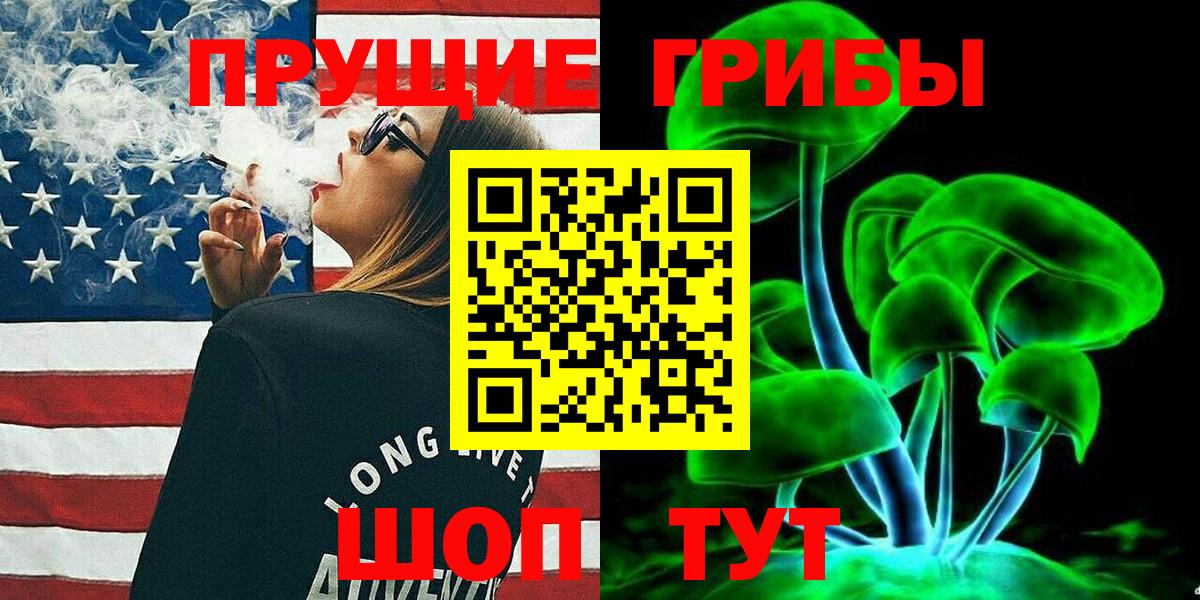 Псилоцибиновые грибы мицелий Великие Луки