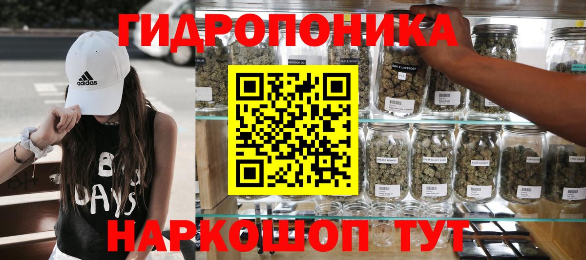 Бошки марихуана планчик  Конопля Bruce Banner  Вход с VPN  Великие Луки  Бошки марихуана THC 21% 
